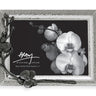 Black Orchid Photo Frame 5x7 - La Perla Home in Montrose CA