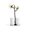 Butterfly Ginkgo Salt & Pepper Shaker
