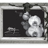Black Orchid Photo Frame 4x6 - La Perla Home in Montrose CA